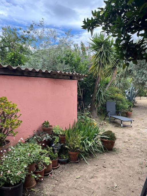 Maison De Village Vintage Avec Grand Jardin Elne Exterior photo
